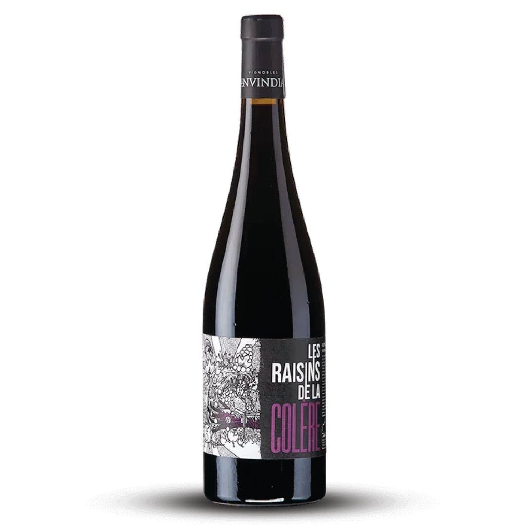 Les Raisins de la Colere, Merlot, France (Natural Wine) - Kashew Cheese Deli