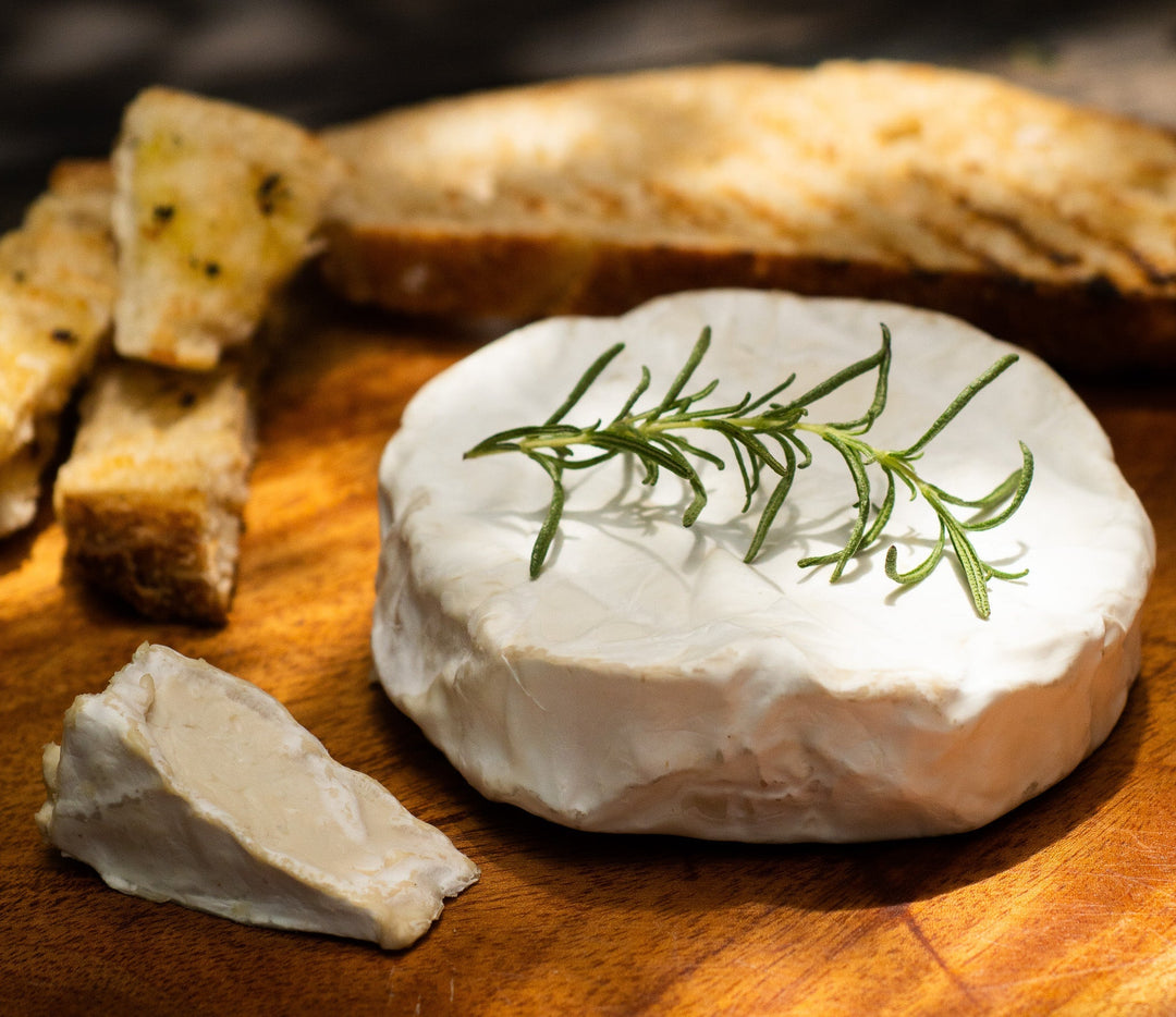 Vegan Cheese vs Traditional Cheese: Taste, Price, Health Benefits - Kashew Cheese Deli