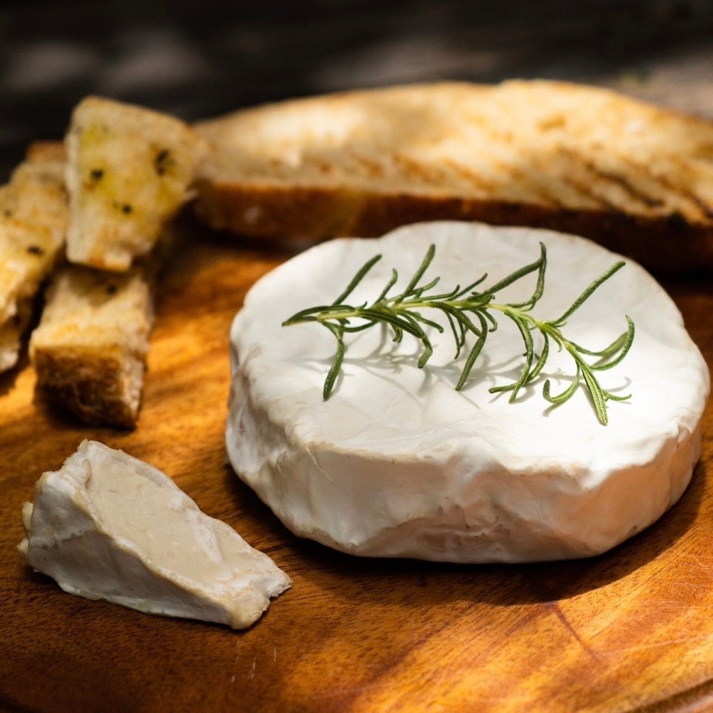 Kashew Kamembert – Vegan Aged Camembert Cheese Made From Organic Cashew Nuts - Kashew Cheese Deli