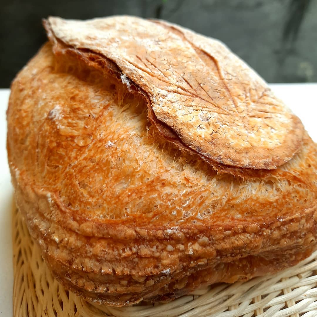 Sourdough Loaf Wheat