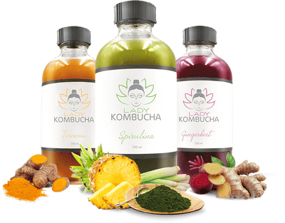 Lady Kombucha Gingerbeet