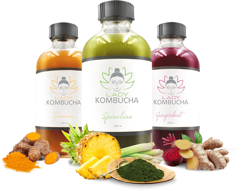 Lady Kombucha Gingerbeet